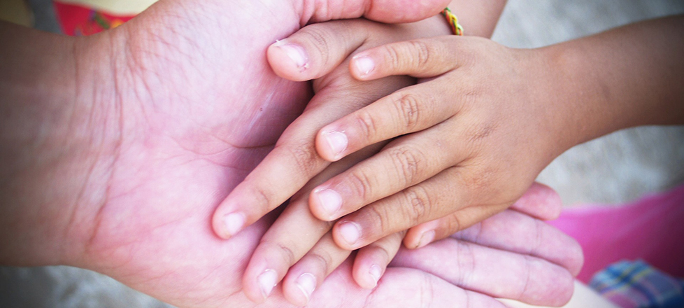 Ordenamiento de Organizaciones Civiles con enfoque de procuración de fondos